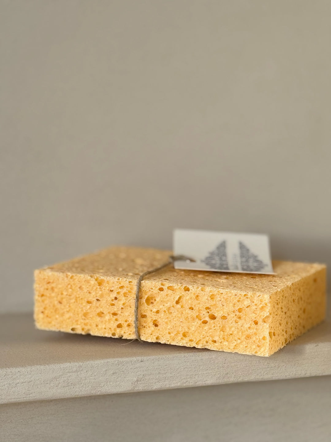 Sponge