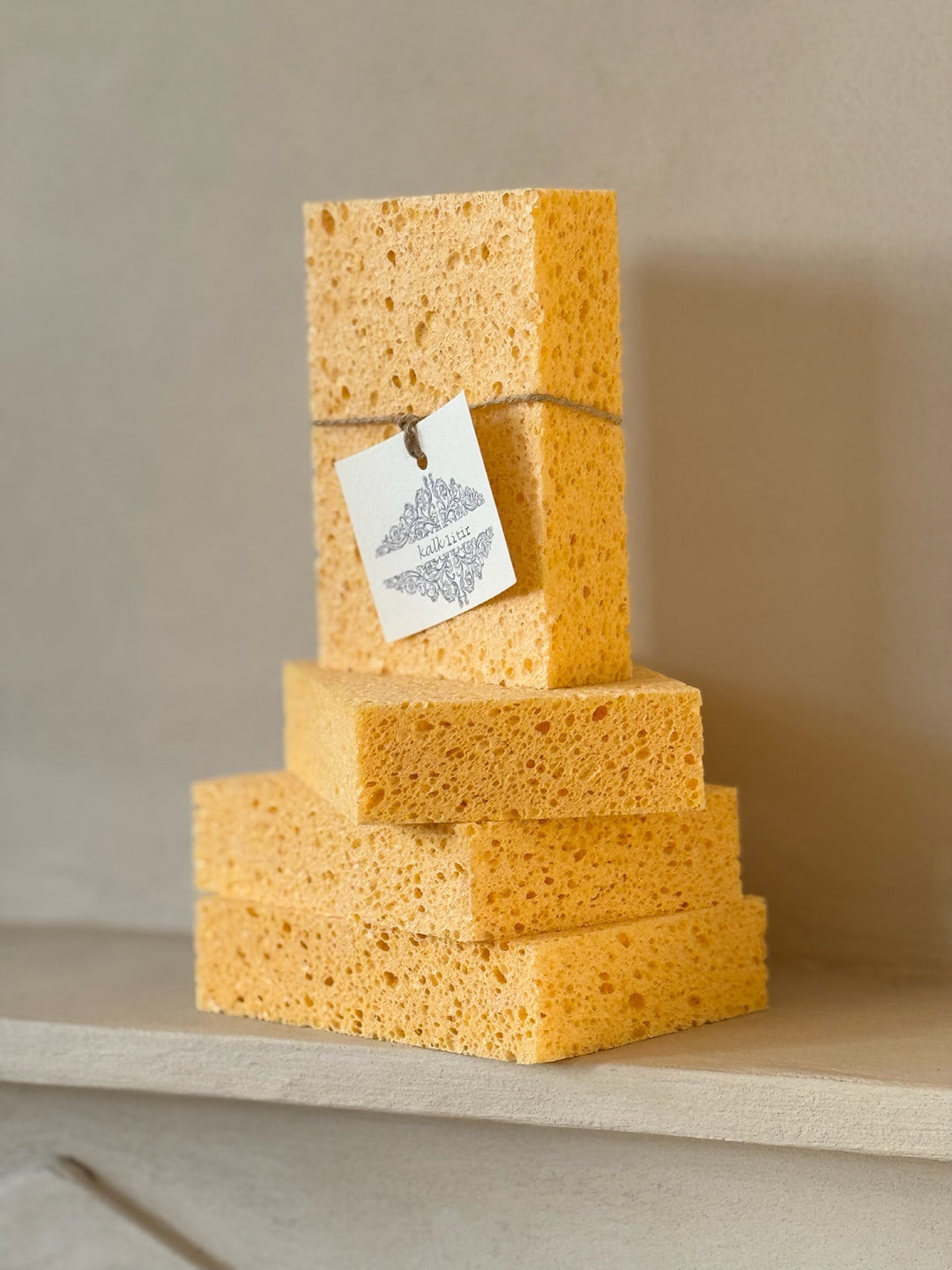 Sponge